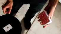 Ace Cut by Joel Paschall