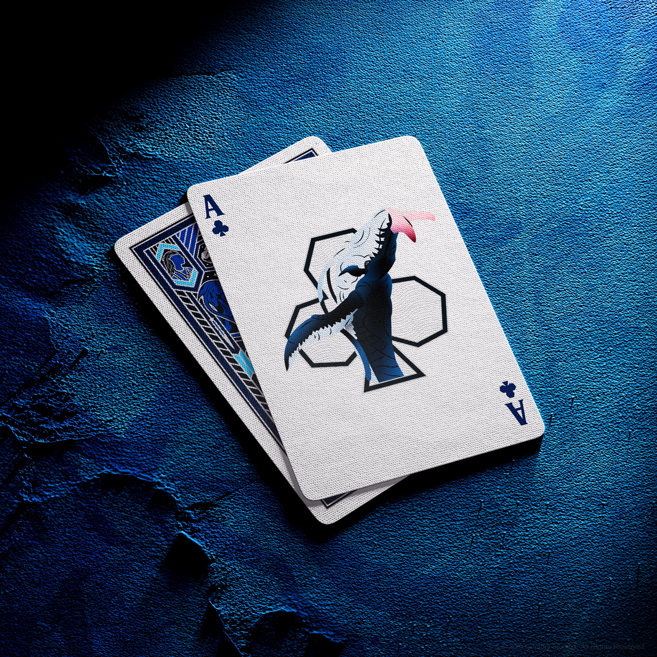 Avatar Playing Cards - Image 17