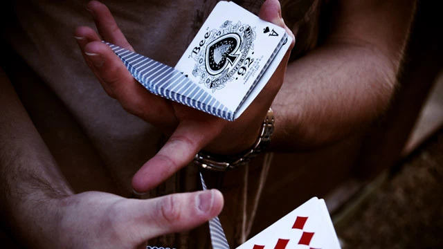 Bee Playing Cards - Image 7