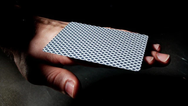 Bee Titanium Edition - Image 13