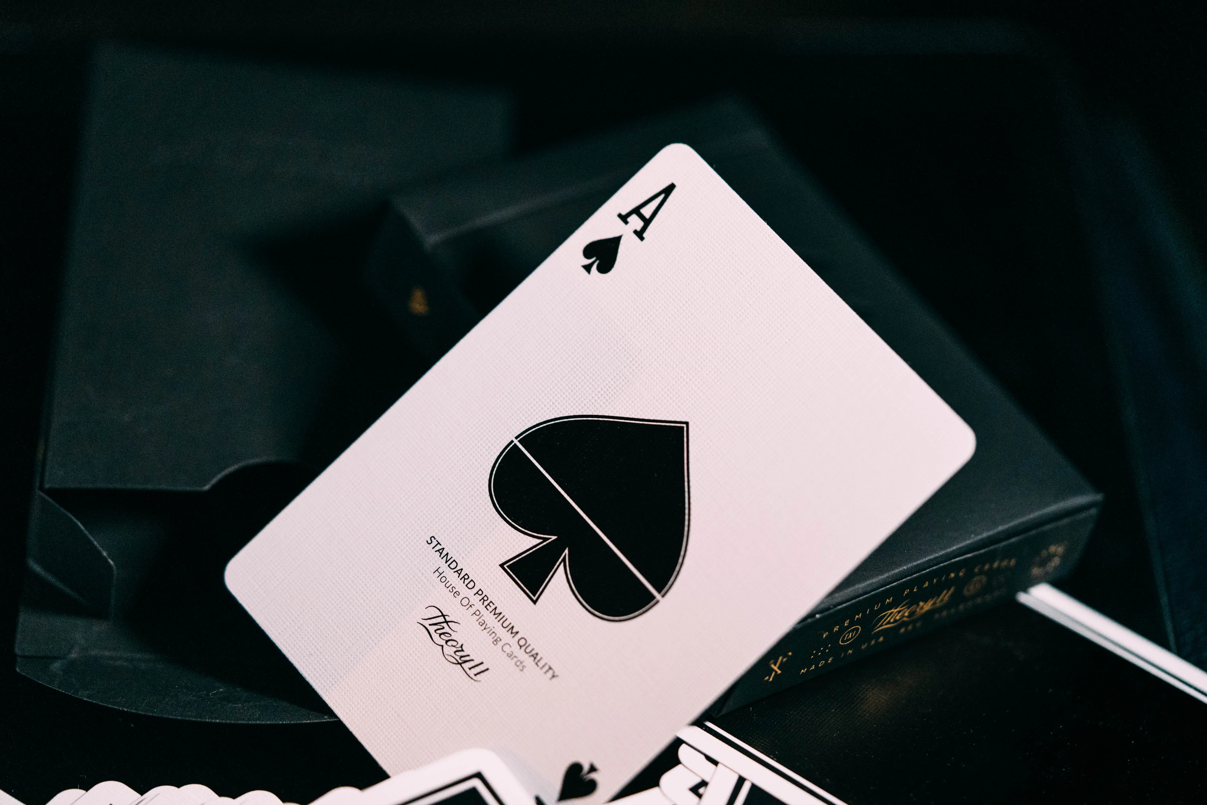 NOC x Midnight - Image 8