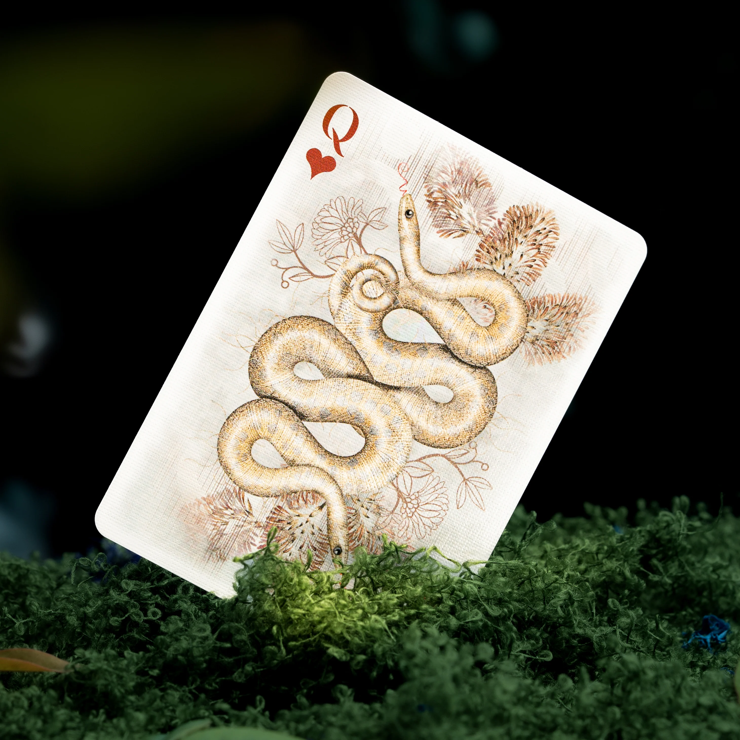 Moooi Collector's Edition Playing Cards - Image 17