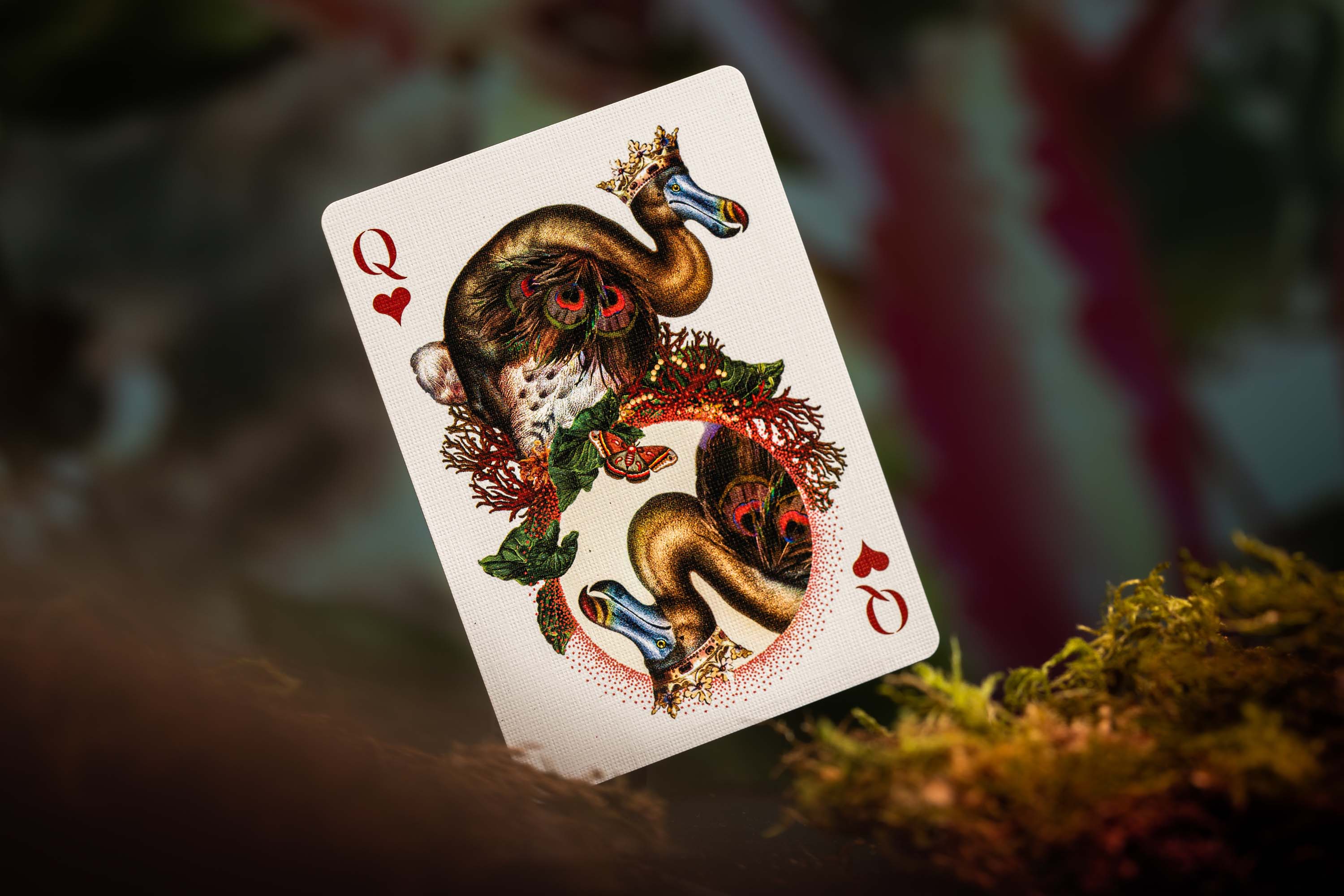 Moooi Playing Cards - Image 5
