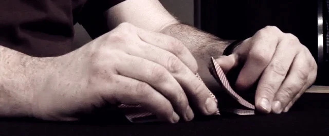 Palming Fundamentals by Jason England - Image 3