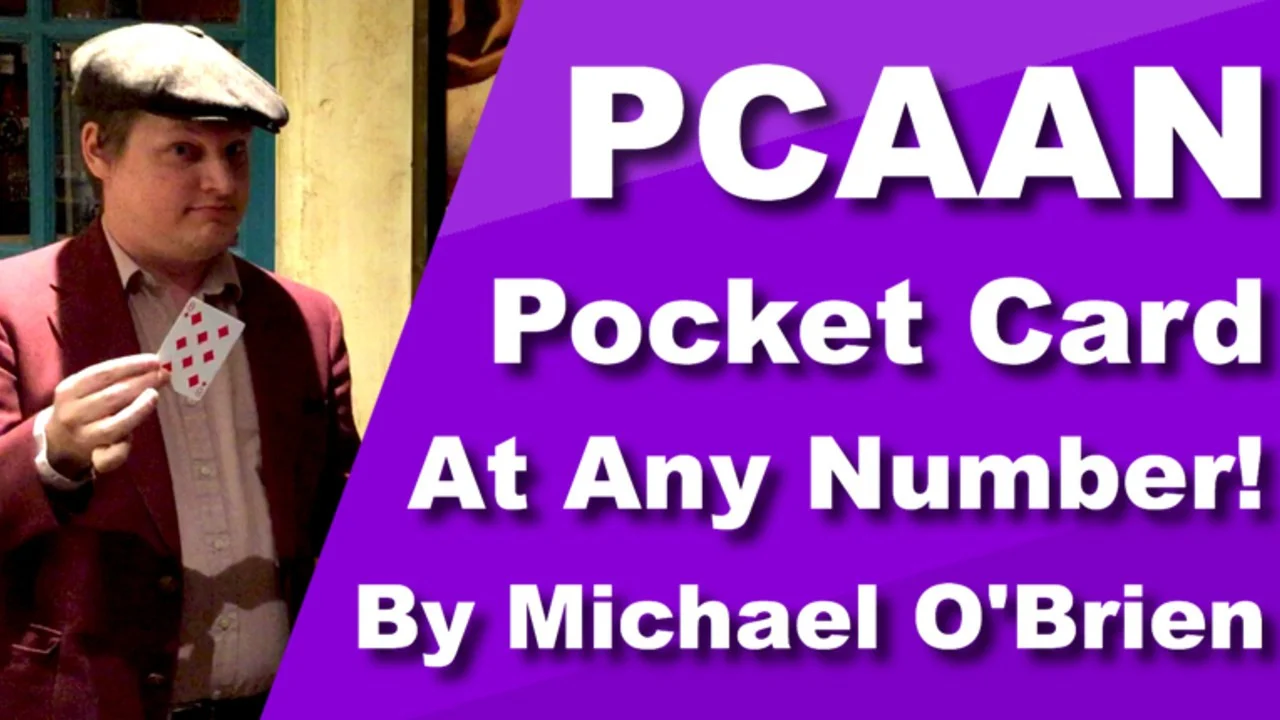 PCAAN by Michael O'Brien