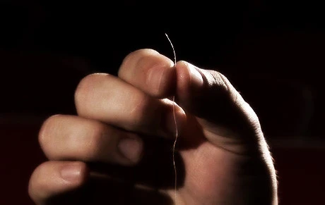 THREAD by Wayne Houchin - Image 10
